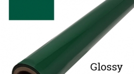 Glossy Forest Green 5950 PMS