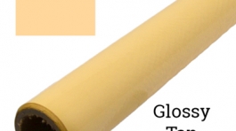 Glossy Tan 8100 PMS